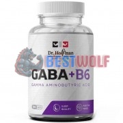 GABA [ГАБА] (500 мг x 90 капс), Dr. Hoffman