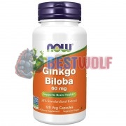 Ginkgo [Гинкго Билоба] (120 капс), NOW Foods