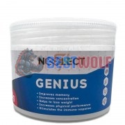 Genius [Фенилпирацетам] (10 гр x 100 порций), Noolect