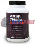 Garcinia Cambogia (500 мг x 90 капс), Protein Company