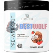 Nootramine Pre-Workout (290, 2 гр x 20 порций), Nootramine