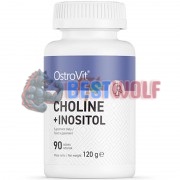 Choline + Inositol (60 шт по 600 мг), OstroVit